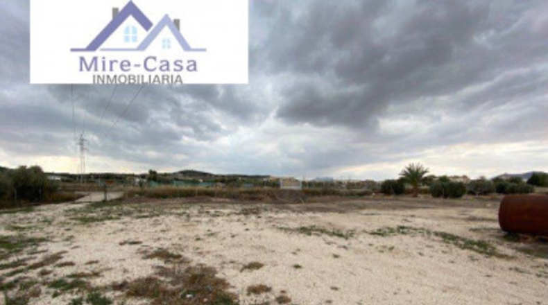 Alicante - Aspe - 4000m2