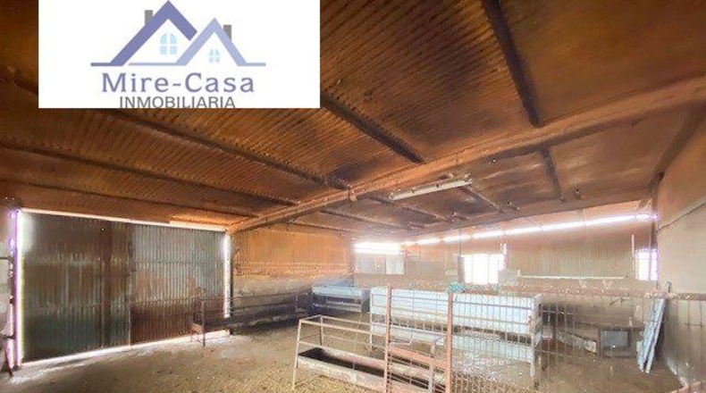 Alicante - Aspe - 4000m2