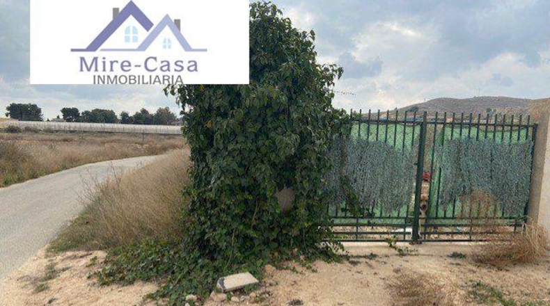 Alicante - Aspe - 4000m2