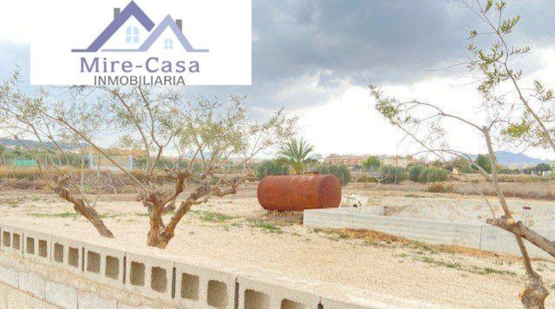 Alicante - Aspe - 4000m2