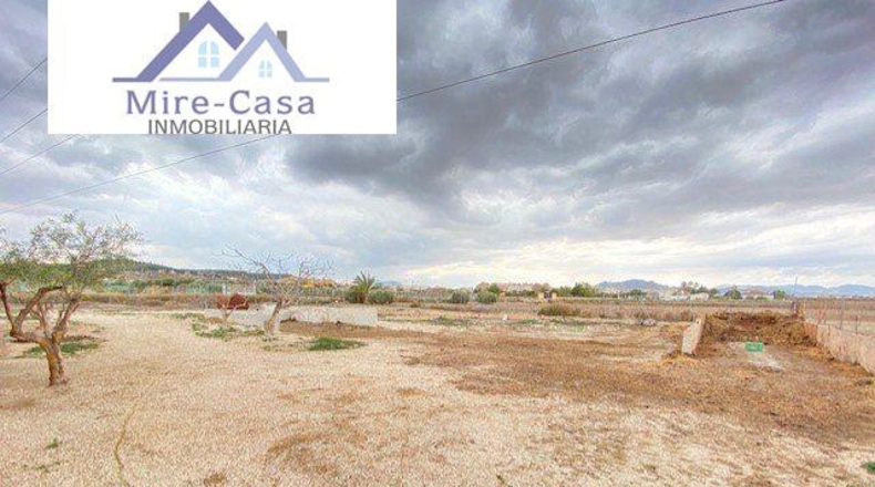 Alicante - Aspe - 4000m2