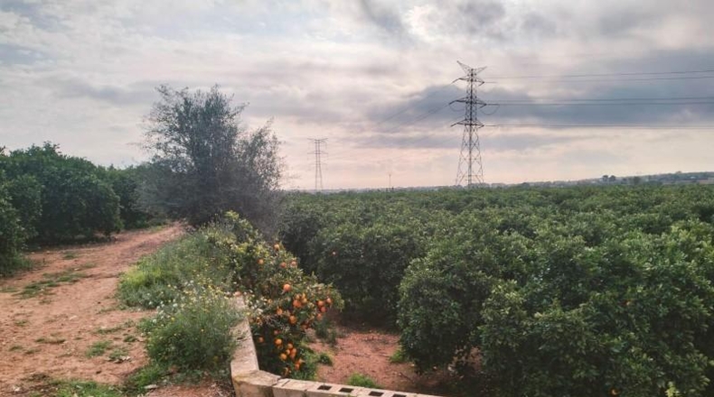 Valencia - Picasent - 6000m2