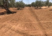 Non-developable land for sale on España, Seville, ref: TR123067 photo