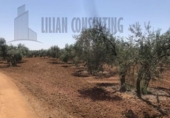 Non-developable land for sale on España, Seville, ref: TR123067 photo