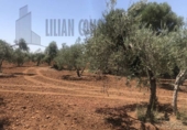 Non-developable land for sale on España, Seville, ref: TR123067 photo