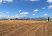 Non-developable land for sale on España, Sa Pobla, ref: TR118035 photo