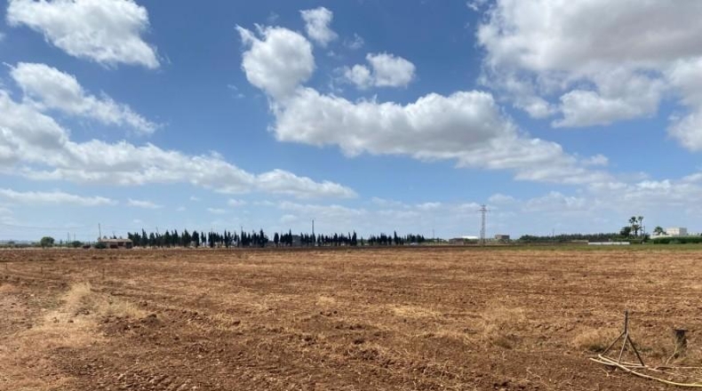 Balearic Islands - La Puebla - 17421m2