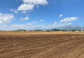 Non-developable land for sale on España, Sa Pobla, ref: TR118035 photo