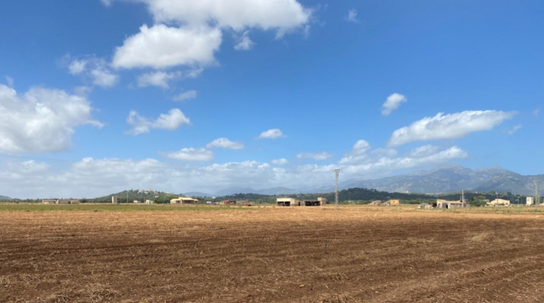 Balearic Islands - La Puebla - 17421m2