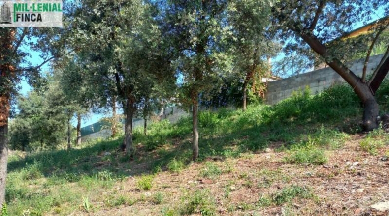 Barcelona - Sentmenat - 1600m2