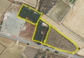 Xalet independent amb terreny en venda a la España, Manzanilla, ref.: TR355561 foto