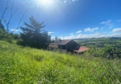 Finca rústica en venda a la España, Ciudad Residencial Perlora, ref.: TR131925 foto