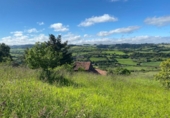 Finca rústica en venda a la España, Ciudad Residencial Perlora, ref.: TR131925 foto