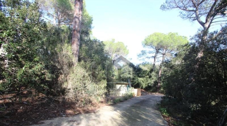 Barcelona - Tarrasa - 10000m2