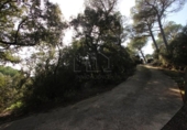 Non-developable land for sale on España, Terrassa, ref: TR179464 photo