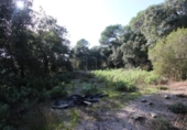 Non-developable land for sale on España, Terrassa, ref: TR179464 photo