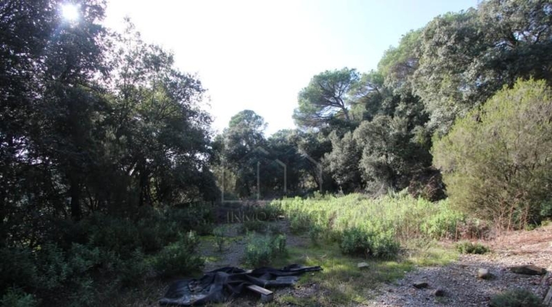 Barcelona - Tarrasa - 10000m2