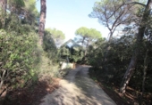 Non-developable land for sale on España, Terrassa, ref: TR179464 photo