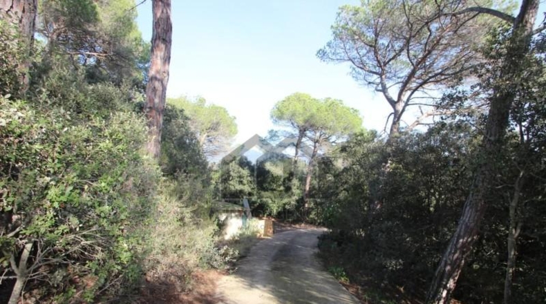 Barcelona - Tarrasa - 10000m2