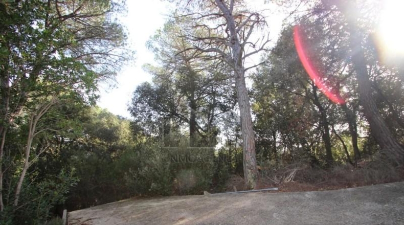 Barcelona - Tarrasa - 10000m2