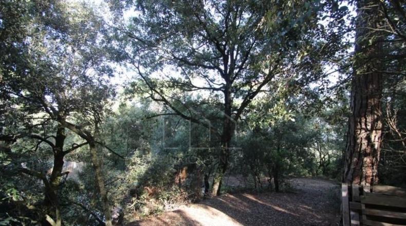 Barcelona - Tarrasa - 10000m2
