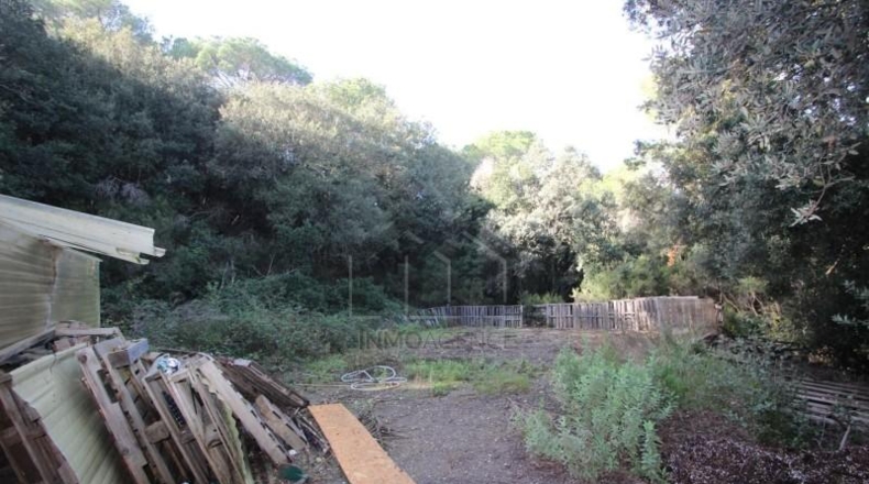 Barcelona - Tarrasa - 10000m2