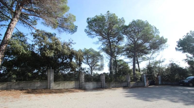 Barcelona - Tarrasa - 10000m2