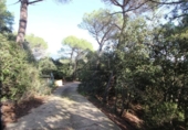 Non-developable land for sale on España, Terrassa, ref: TR179464 photo