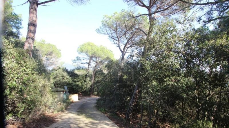 Barcelona - Tarrasa - 10000m2