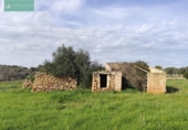 Xalet independent amb terreny en venda a la España, Santa Margalida, ref.: TR192188 foto