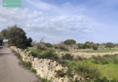 Xalet independent amb terreny en venda a la España, Santa Margalida, ref.: TR192188 foto
