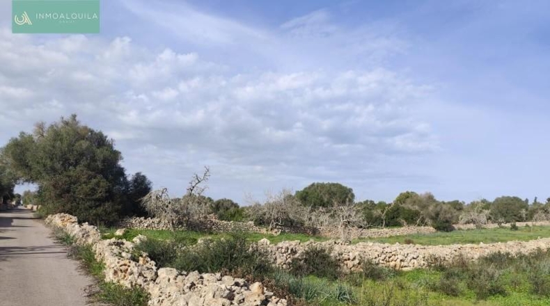 Islas Baleares - Son Bauló - 15767m2