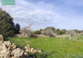Xalet independent amb terreny en venda a la España, Santa Margalida, ref.: TR192188 foto