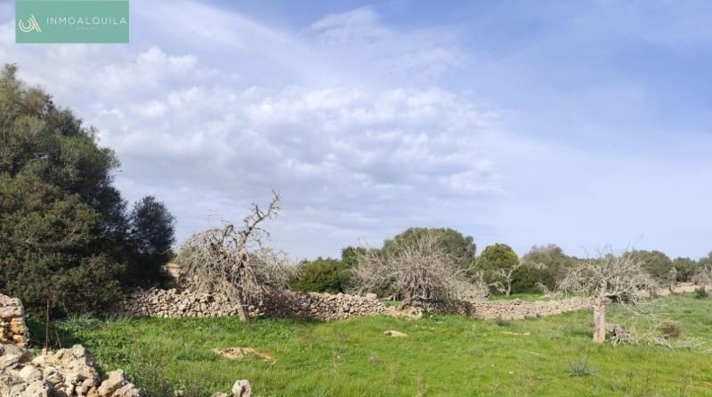 Islas Baleares - Son Bauló - 15767m2