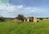 Xalet independent amb terreny en venda a la España, Santa Margalida, ref.: TR192188 foto