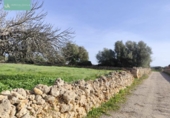 Xalet independent amb terreny en venda a la España, Santa Margalida, ref.: TR192188 foto