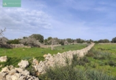 Xalet independent amb terreny en venda a la España, Santa Margalida, ref.: TR192188 foto