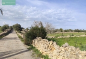 Xalet independent amb terreny en venda a la España, Santa Margalida, ref.: TR192188 foto