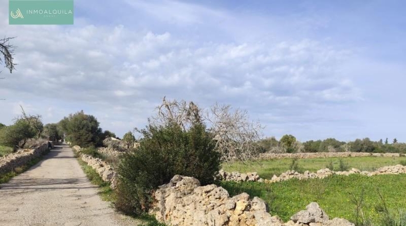 Islas Baleares - Son Bauló - 15767m2