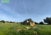 Xalet independent amb terreny en venda a la España, Santa Margalida, ref.: TR192188 foto