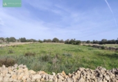 Xalet independent amb terreny en venda a la España, Santa Margalida, ref.: TR192188 foto