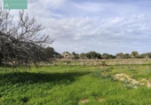 Xalet independent amb terreny en venda a la España, Santa Margalida, ref.: TR192188 foto