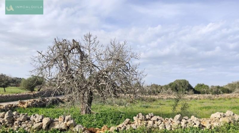 Islas Baleares - Son Bauló - 15767m2