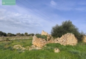 Xalet independent amb terreny en venda a la España, Santa Margalida, ref.: TR192188 foto