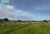 Xalet independent amb terreny en venda a la España, Santa Margalida, ref.: TR192188 foto