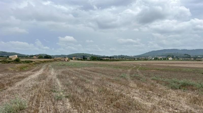 Balearic Islands - San Juan - 184m2