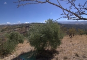 Terreny no urbanitzable en venda a la España, Huétor de Santillán, ref.: TR176699 foto