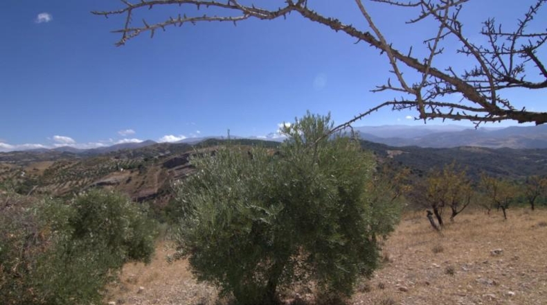 Granada - Huétor de Santillán - 22713m2
