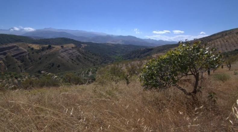 Granada - Huétor de Santillán - 22713m2
