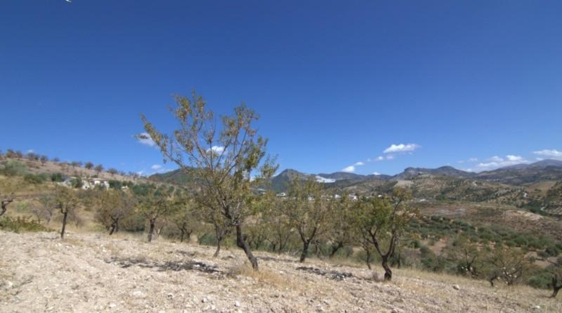 Granada - Huétor de Santillán - 22713m2